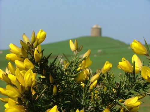 Burton Dassett Hills Country Park
