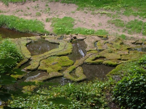 Mother Shiptons Cave & Petrifying Well