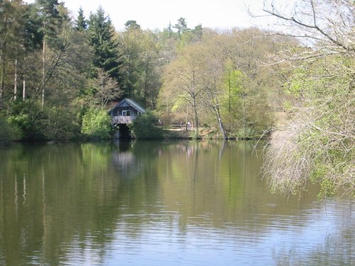 Winkworth Arboretum in Surrey