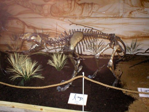 Dinosaur Adventure Park