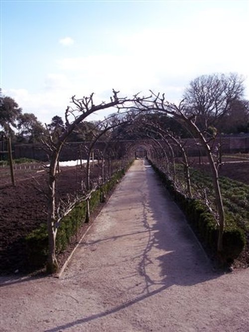 Lost Gardens of Heligan