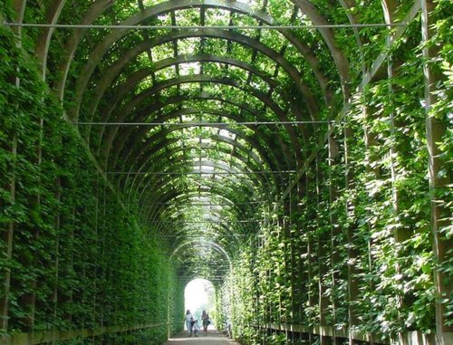 Hampton Court Palace & Gardens