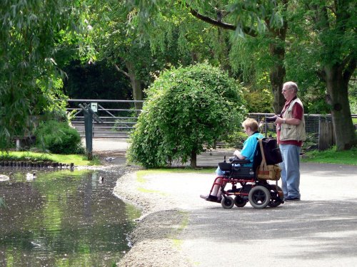 Wildfowl & Wetlands Trust Martin Mere - Easily accessible by all