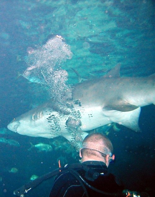 Blue Planet Aquarium, Ellesmere Port, North Yorkshire