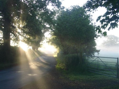 Misty Lane near Broxton, Cheshire