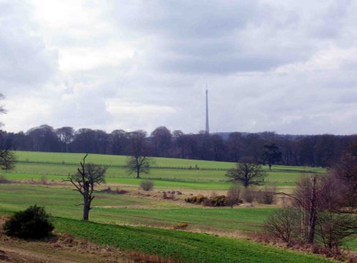 Emley Mast from Bretton
