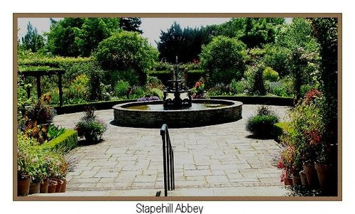 Stapehill Abbey