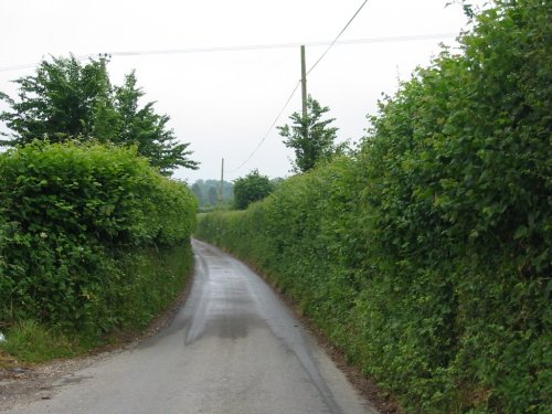 A picture of Whiteparish