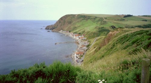Crovie