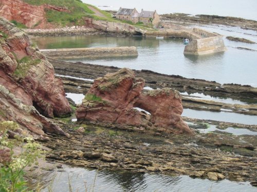 Photograph of Cove, Cockburnspath, South East Scotland.