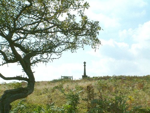 A picture of North York Moors National Park