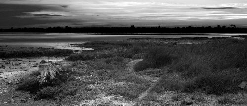 'The Stump', Pagham Harbour at low tide