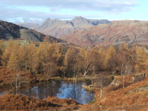 Langdale Pikes