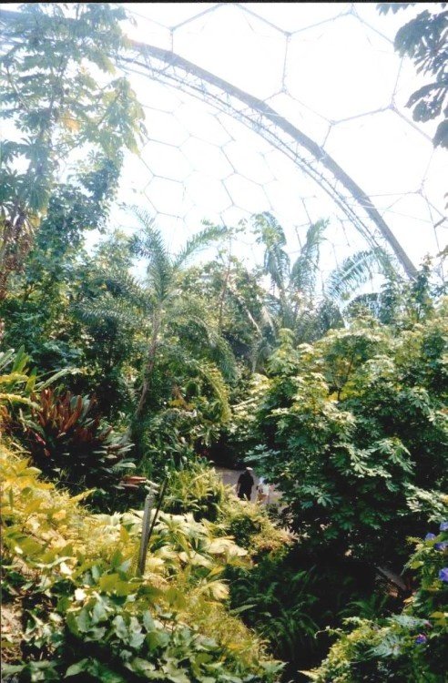 The Eden Project