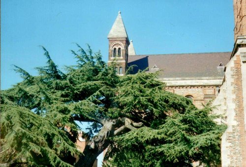 St Albans Cathedral and Abbey Church