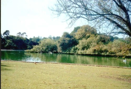 Verulamium Park St Albans