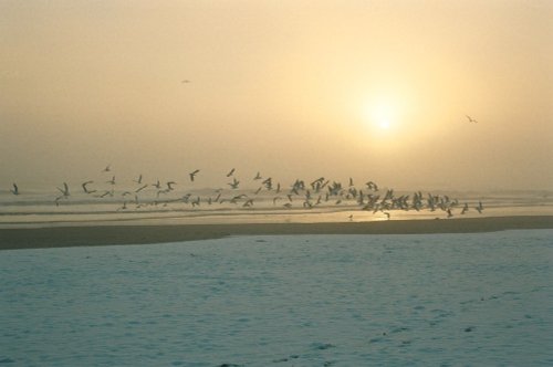 Early morning Gorleston beach. Gorleston-on-Sea, Norfolk