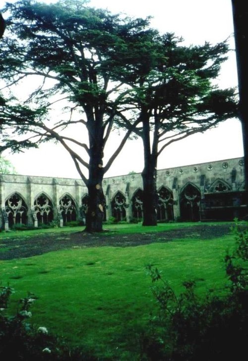 Salisbury Cathedral