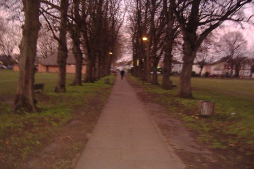 Fairfield Park, Kingston upon Thames