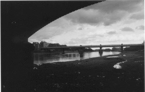 photograph of the river Thames taken from below the Putney bridge, London