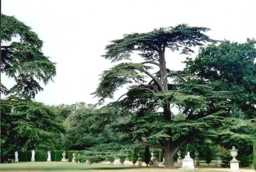Chiswick House