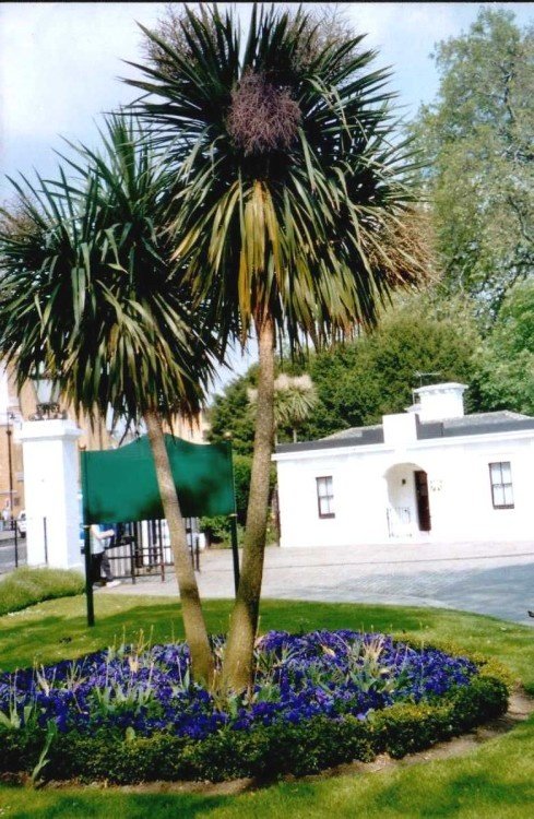 Imperial War Museum, London