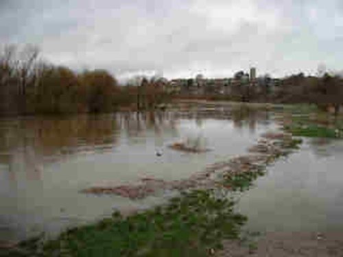 Langport. The church on the hill, viewed from beside the flooded river Parrett near Huish bridge