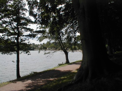 Newmillerdam Country Park