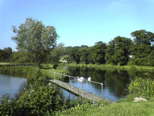 Pond near the village of Binsted in Hampshire