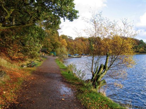 Talkin Tarn Country Park