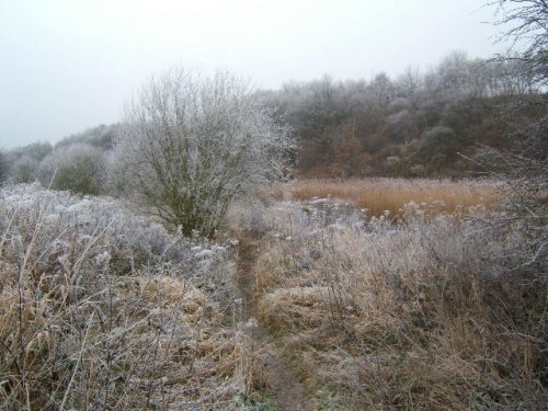 The Weaver Valley, near Winsford, Cheshire.