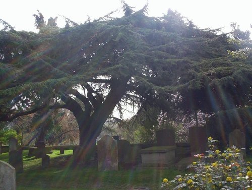 Cementary close to church of St Cross. Oxford