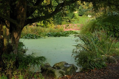 Garden in Avenham Park: Preston, Lancashire