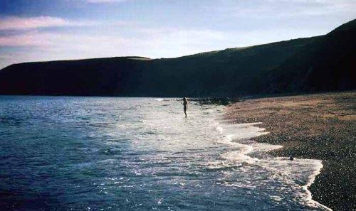 A picture of Gorran Haven