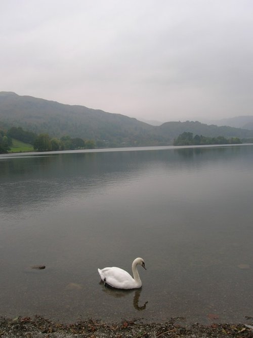 Grasmere