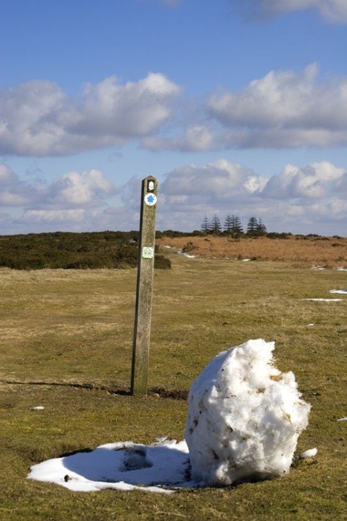 Offas Dyke, Hergest Ridge, Kington, Herefordshire.