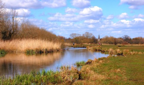 Stockbridge Marsh, Hampshire
