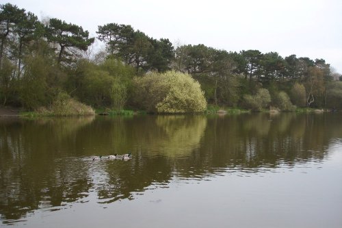 Shipley Country Park