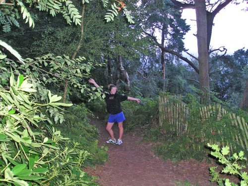 Jogging to tunes on Helsby Hill.