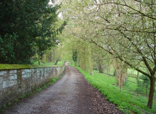 A picture of Shipley Country Park