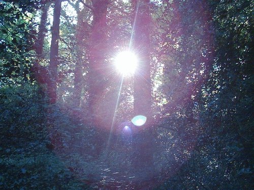 Summer scene Southampton Common, Southampton, Hampshire - Taken 2004