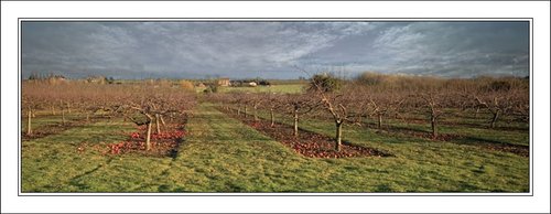 Knowle Hill, Nr Evesham