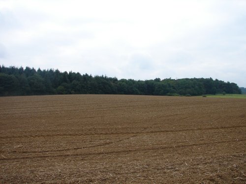 Badby Woods.  Pictures by David Graham Adkins, Chippenham, Wiltshire