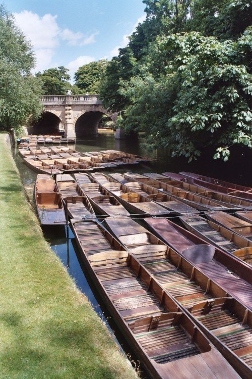 Botanic Gardens of Oxford