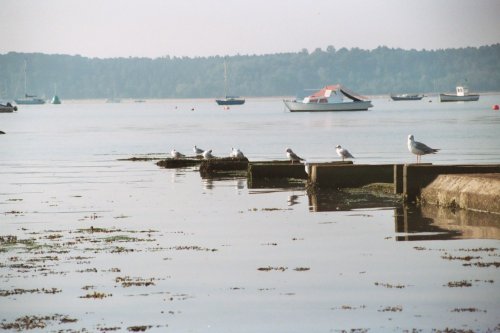 Poole Harbour, Poole
