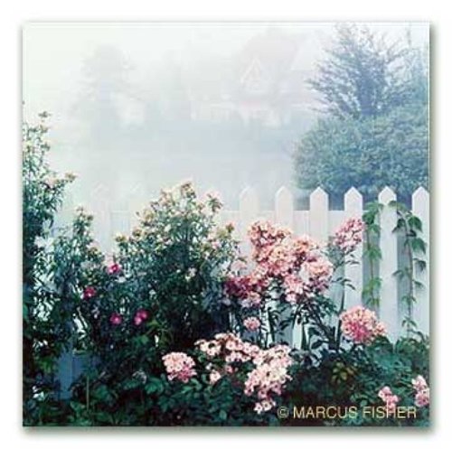 Lindfield Town, County West Sussex, England