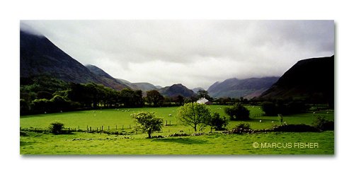 Sheep Farm in Foulsyke, Lake District, County Cumbria, England