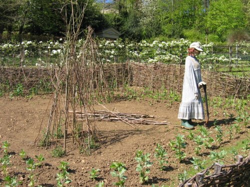 Painswick Rococo Gardens
