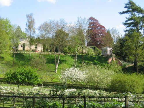 Painswick Rococo Gardens, Gloucestershire