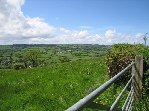 Devon Countryside, near the village of Dalwood
